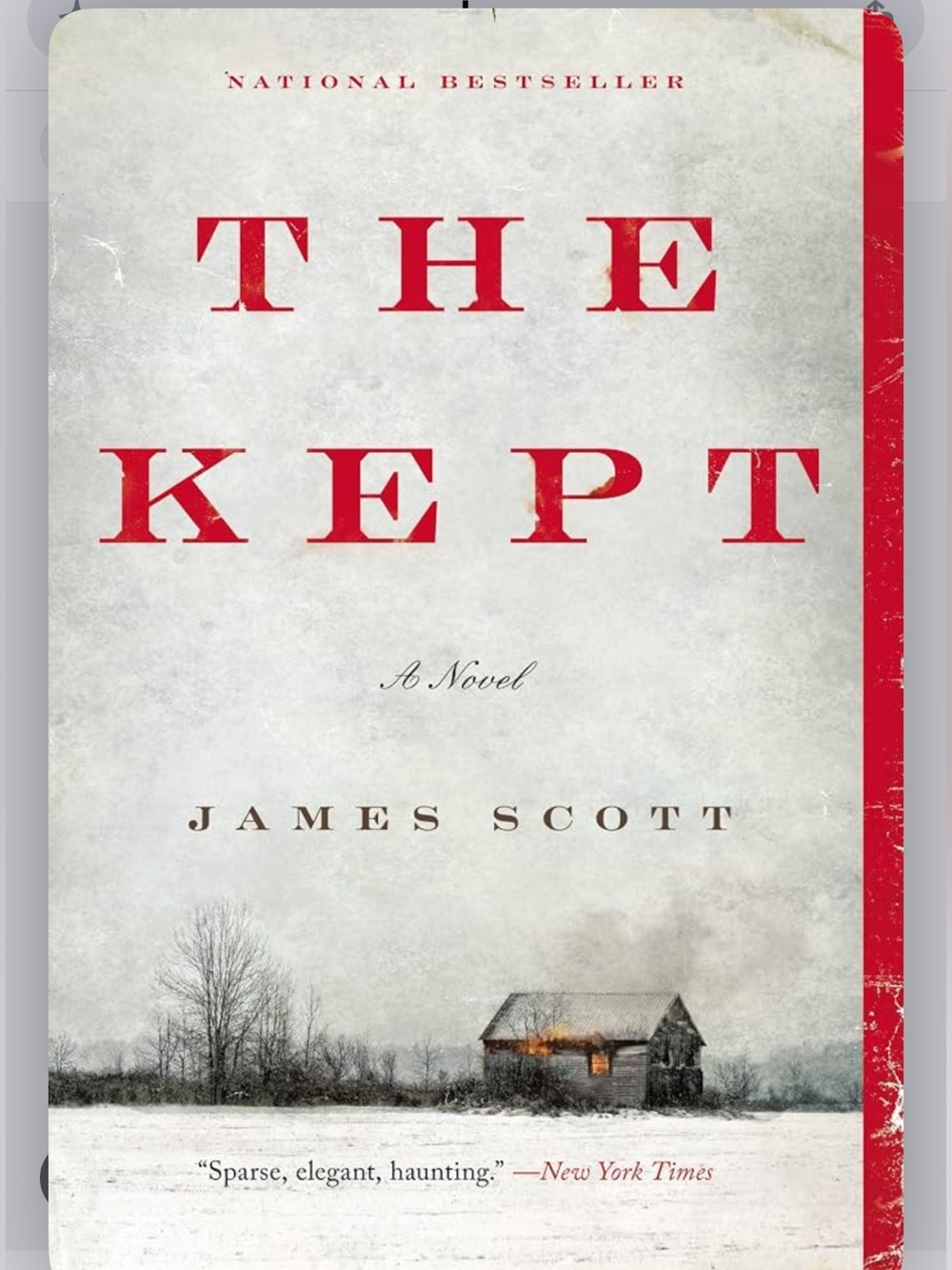 “The Kept” a novel by James Scott